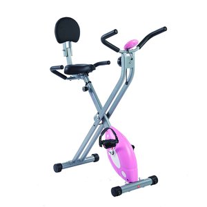 Sunny Health & Fitness Folding Recumbent Bike is pictured here