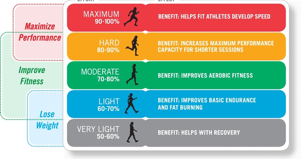 What Is The Maximum Heart Rate When Working Out